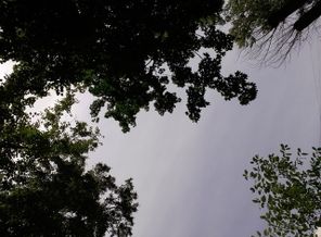 JPEG_image_1502792699494.jpeg_1906006993