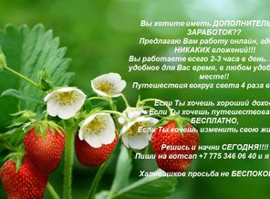 Презентация1.jpg
