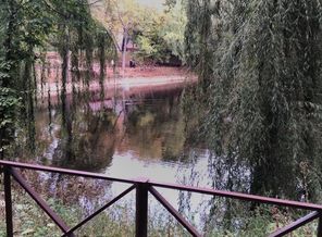 IMG_20171003_162048