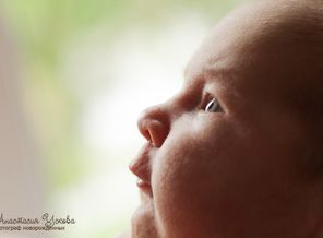 IMG_8095.jpg