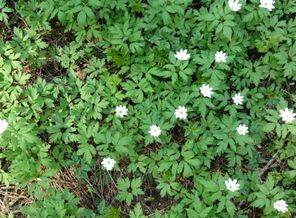 IMG_20170502_163629