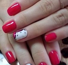 image (15).jpg