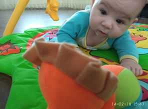IMG_20180214_153844
