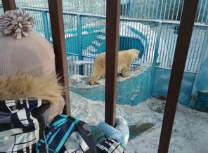 IMG_20180217_110530
