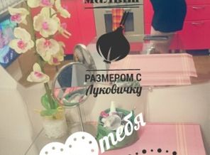 Screenshot_20170224-001615