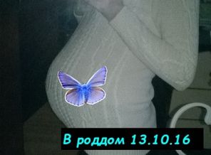webka_1488789527357