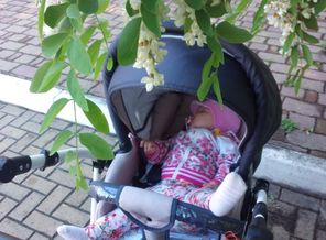 IMG_20170423_105523