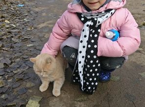 IMG_20171113_155632_944