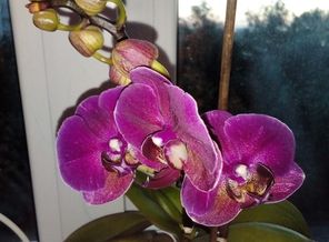 IMG_20170805_171348
