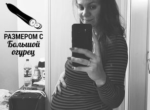 malyshi_image_15041115896