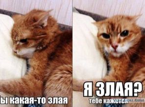 FB_IMG_15140975637231433