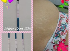 Screenshot_2017-04-17-00-34-33-1