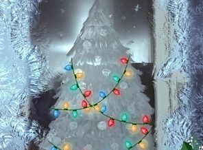 IMG_20171213_201112