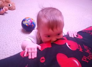 IMG_20171224_112929