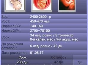 1497940895438