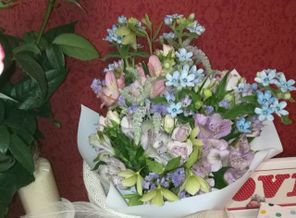 IMG_20170616_211819_887