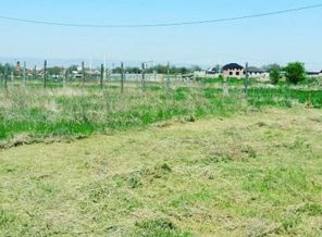 IMG-20170128-WA0026