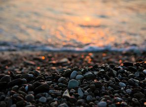 IMG_2893.jpg