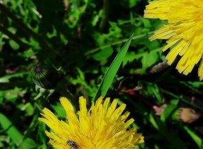B612_20170518_135410