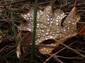 20171017_122820