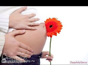 9ebde48cd4ac1ca0c5c9d6da4892c33d