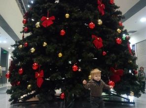IMG_20171127_110622