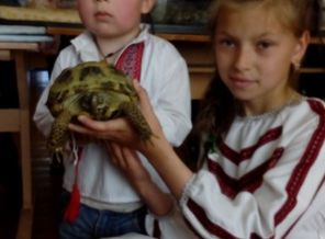 IMG_20170503_164745