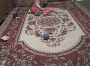 IMG_20171201_163542