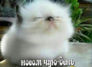 IMG-e6095a62e426fdf033bbee70d1d35985-V