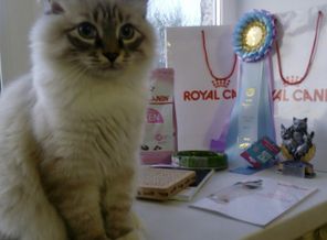IMG_20170524_124704_313.jpg
