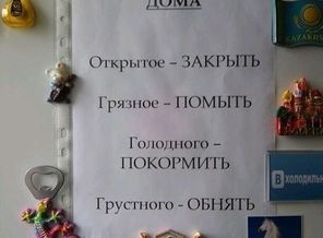 eLO4cv823wY