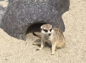 IMG-20170618-WA0001