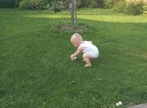 IMG_20170820_125034