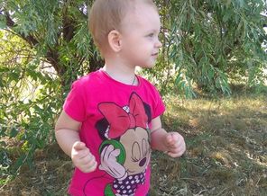 IMG_20170825_153433