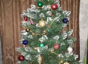 IMG_20171222_170228