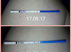 1506669268296