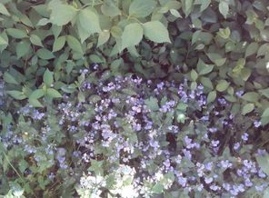IMG_20170525_111136