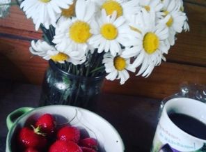 IMG_20170701_163730_283