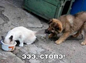 1C83ZCJtw2k