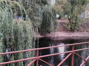 IMG_20171003_162048
