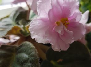 20170512_125916