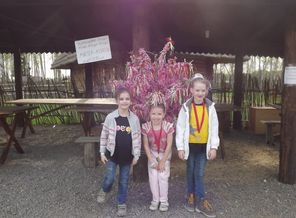 DSCF0579.JPG