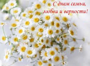 IMG_20170708_084449_770