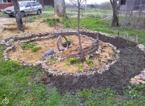 IMG_20170507_130131