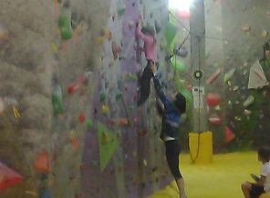IMG_20170911_121519.jpg