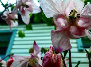 IMG_20170520_125049_823