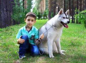 IMG_5656 веб