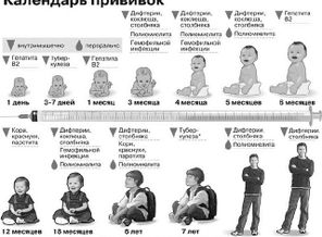 image (5)