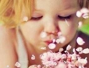 image-33