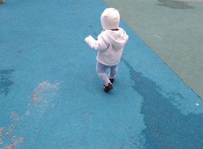 IMG_20171019_124009